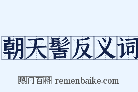 朝天髻反义词是什么意思的图片